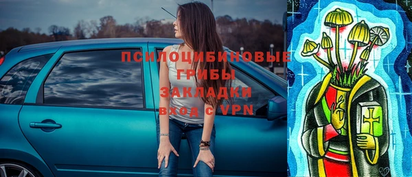 2c-b Дубовка
