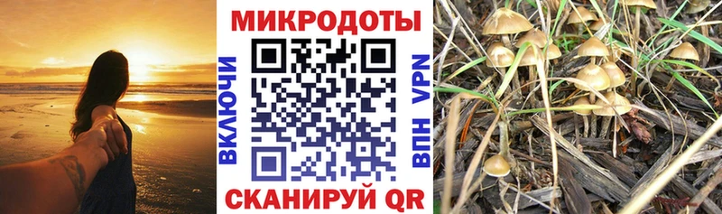 блэк спрут ССЫЛКА Заринск Псилоцибиновые грибы ЛСД