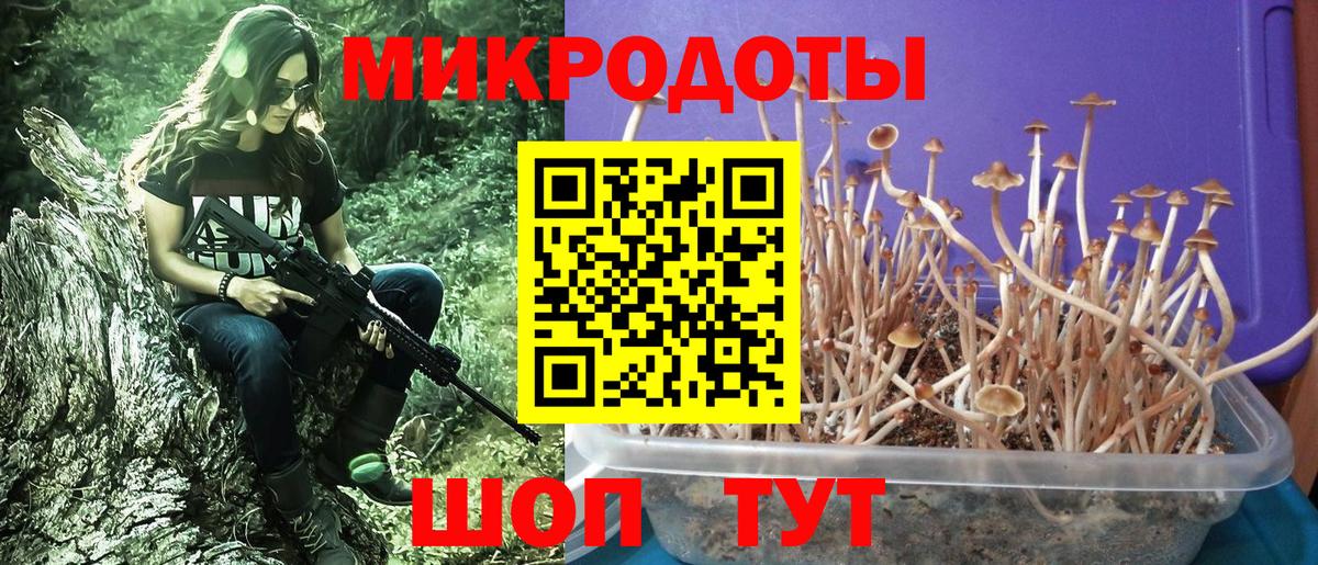 Псилоцибиновые грибы Psilocybe  Вход с VPN  Заринск  Галлюциногенные грибы GOLDEN TEACHER 
